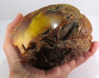 Large Collectible Baltic Amber piece 580 gram, Real Genuine Natural Amber, a Beautiful and Unique Gift