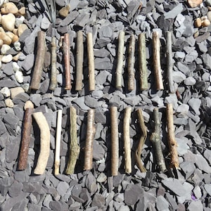 以下が含まれることがあります： 灰色のスレートチップのベッドの上に2列に並んだ20本の天然木の棒の集まり。棒は茶色とグレーの様々な色合いで、いくつかは節や枝があります。