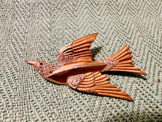 Bird in flight