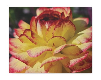 Yellow Flower Canvas Gallery Wraps