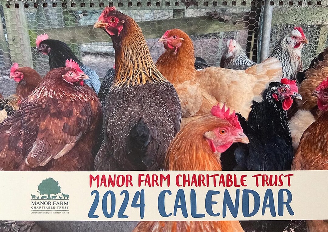 2025 CALENDAR for Manor Farm Charitable Trust Etsy