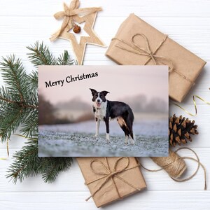 Carte De Noël Border Collie - Style Vintage Moderne, 17,5 X 12,5 Cm, Intérieur Blanc Pour Message Personnalisé