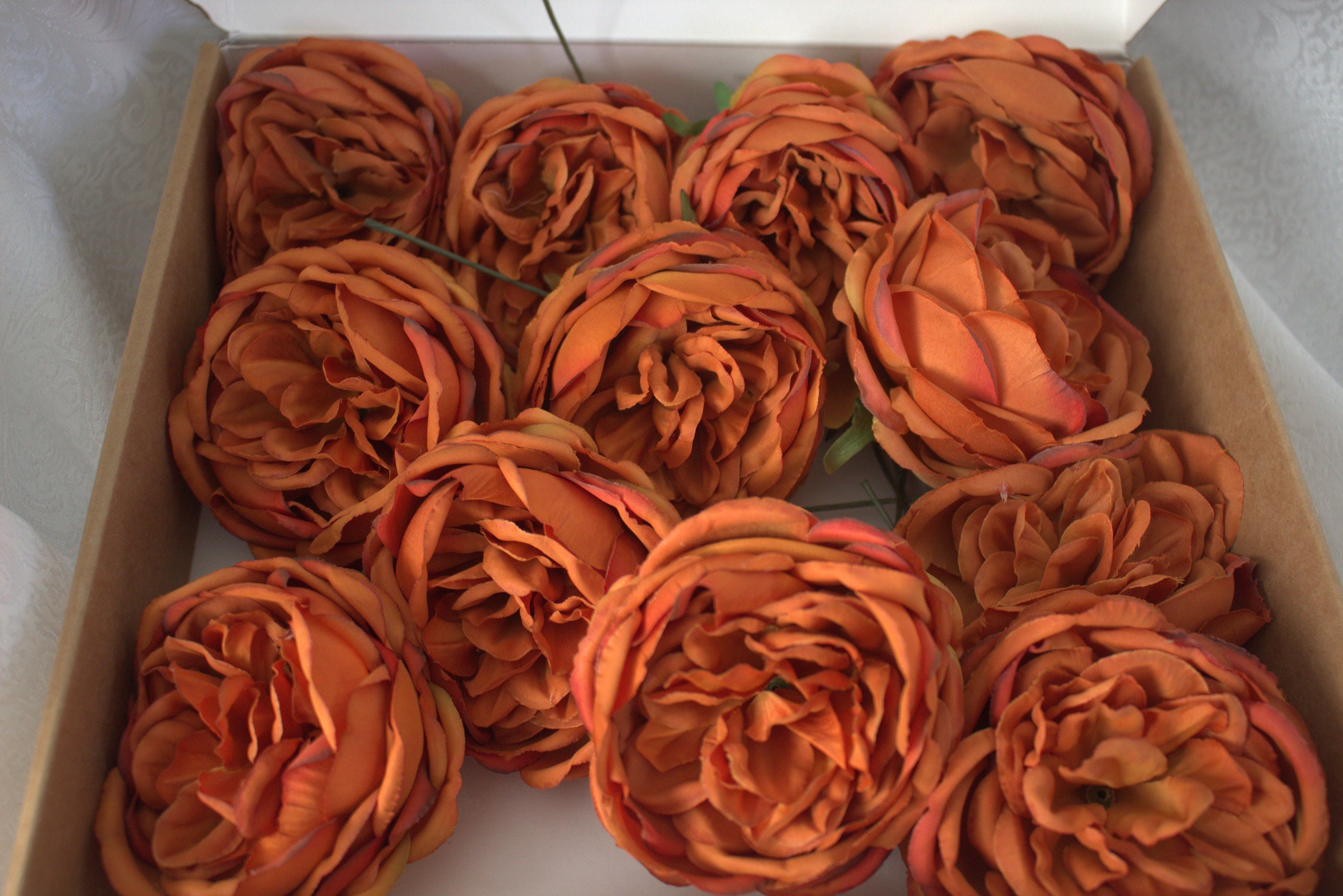 12 Cabbage Rose in Burnt Orange With Wire Stems - Etsy