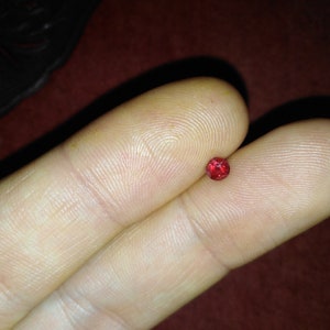 May include: A small, round, red gemstone, possibly a ruby or garnet, rests on a fingertip. The gem is a vibrant, deep red colour and appears to be faceted. The background is a dark, reddish-brown.