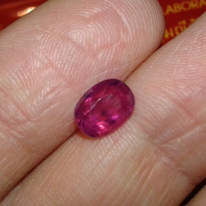 May include: A vibrant, oval-cut ruby gemstone, displaying a deep red hue. The gem is held in a hand, showcasing its polished surface and internal clarity. The ruby's shape is smooth and symmetrical, reflecting light. A close-up view highlights the gem's color and facets.