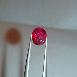 May include: A vibrant, oval-cut ruby gemstone held by silver tweezers. The ruby displays a deep red hue with internal inclusions, showcasing its natural characteristics. The tweezers provide a close-up view of the gemstone.