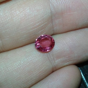May include: A round, faceted, pink gemstone. The gem is held in a hand, showcasing its color and clarity. The stone has a vibrant, reddish-pink hue, and appears to be well-cut, reflecting light. This gemstone could be used in jewelry.