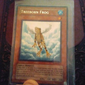 May include: A trading card with the title "TREEBORN FROG" featuring a cartoon frog with wings. The card has a blue and orange colour scheme. The card's stats are ATK/100 DEF/100. The background shows a cloudy sky. The text "AQUA/EFFECT" is also visible.