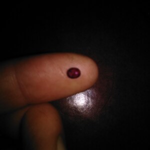 May include: A small, oval-shaped, deep red gemstone. The gem is held between two fingers against a dark background. The stone's color is a rich, saturated red, and it appears to be polished.