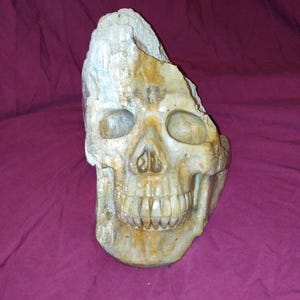 May include: A carved skull sculpture with a weathered, aged appearance. The skull is primarily beige with areas of light blue and brown. The eye sockets, nasal cavity, and teeth are clearly defined. The sculpture is likely made of stone or a similar material.