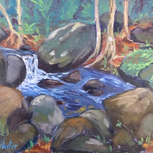 Tropical Volcanic River