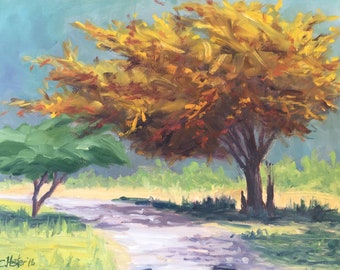 Flamboyant Yellow Tree