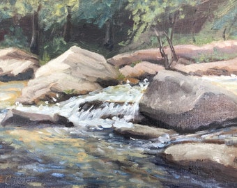 Rocky Broad River