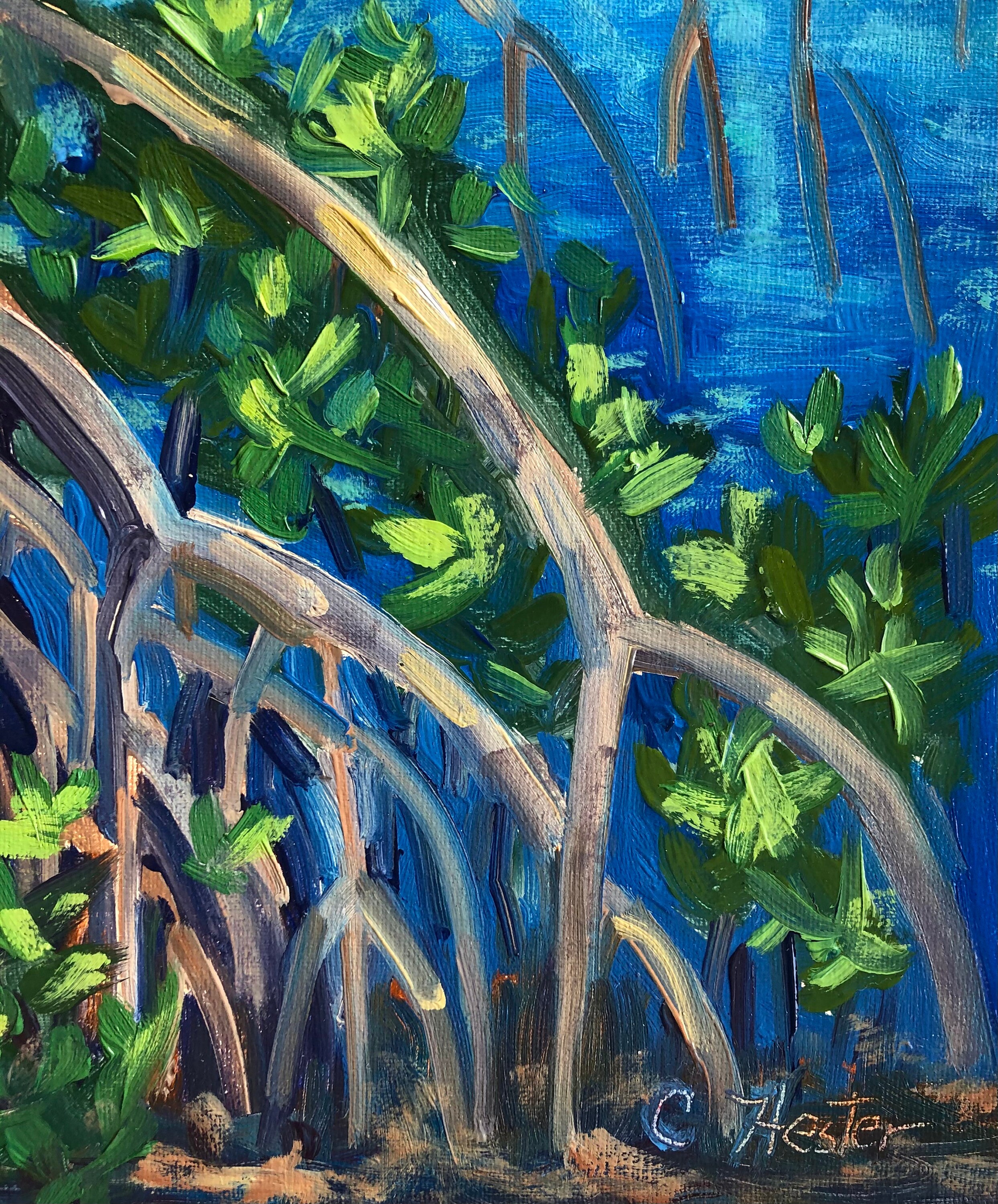 Florida Mangroves - Etsy