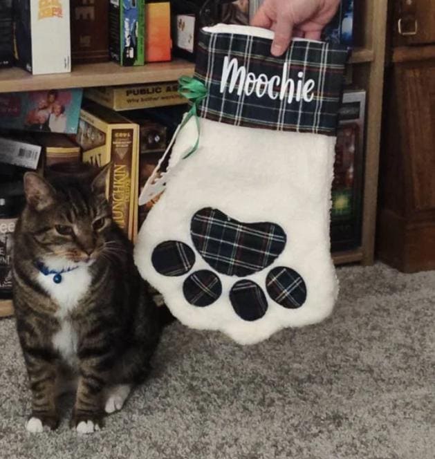Personalized pet stocking, Blank pet stocking, Christmas stocking, Dog stocking, Cat stocking, Christmas gift, personalized stockings, plaid