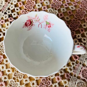 Vintage Spode Copeland Rosebud Chintz ~ Teacup