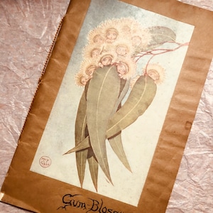 The Gum Blossom Babies (May Gibbs) 1921