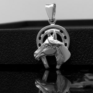 Silver Horse Necklace, Large Horse Shoe Necklace, Horse Head Pendant in Horse Shoe, Sterling Silver Horse in the Horse Necklace