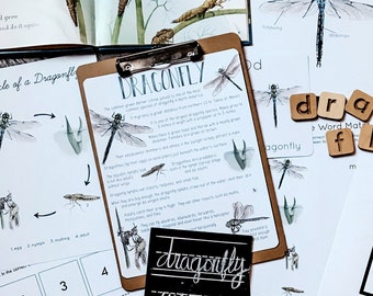 Dragonfly Mini Nature Study