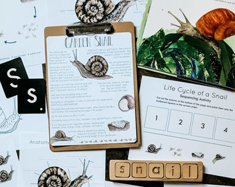 May include: A collection of educational materials for learning about garden snails. The materials include a life cycle chart, anatomy diagram, word match activity, and sequencing activity. There are also letter tiles that spell out the word "snail" and a book about snails.