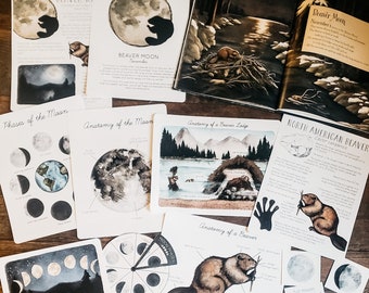 Puede incluir: Un conjunto de tarjetas educativas sobre la luna y los castores. Las tarjetas presentan ilustraciones de acuarela de las fases de la luna, una cabaña de castor y un castor. Las tarjetas también incluyen texto sobre la anatomía de la luna y los castores. Las tarjetas son perfectas para enseñar a los niños sobre la luna y los castores.