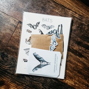 Bat Mini Nature Study Physical Bundle