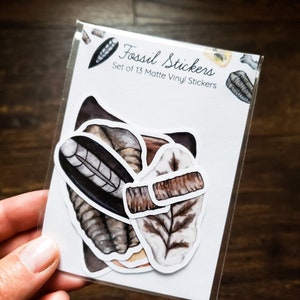 Fossilien Sticker Set, 13 Sticker