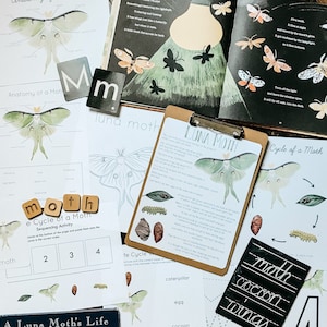 May include: A set of educational materials for learning about the life cycle of a luna moth. The set includes a book, flashcards, a worksheet, and a chalkboard. The book is titled "A Luna Moth's Life" and features a green luna moth with large wings. The flashcards show the different stages of the luna moth's life cycle: egg, caterpillar, cocoon, and adult. The worksheet has a sequencing activity where children can put the stages of the life cycle in order. The chalkboard has the words "moth", "cocoon", and "wings" written on it.