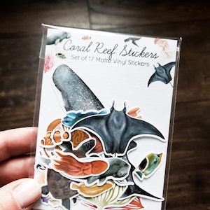 Coral Reef Stickers Set of 17