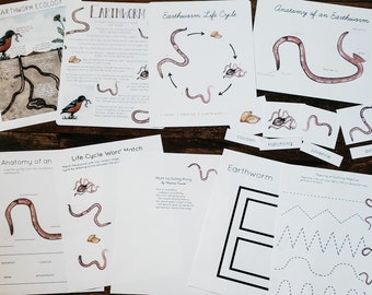 Earthworm Mini Study Physical Bundle