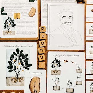 George Washington Carver and Peanut Unit Study