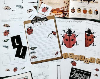 Ladybug Mini Nature Study