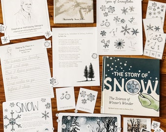 Stopping by Woods on a Snowy Evening Inspired Unit Study
