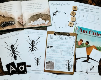 Mini estudio de la naturaleza de la hormiga