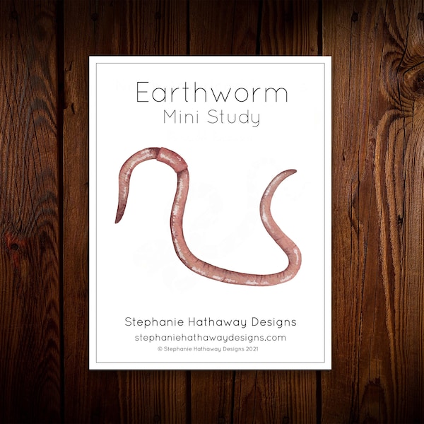 Earthworm Mini Study