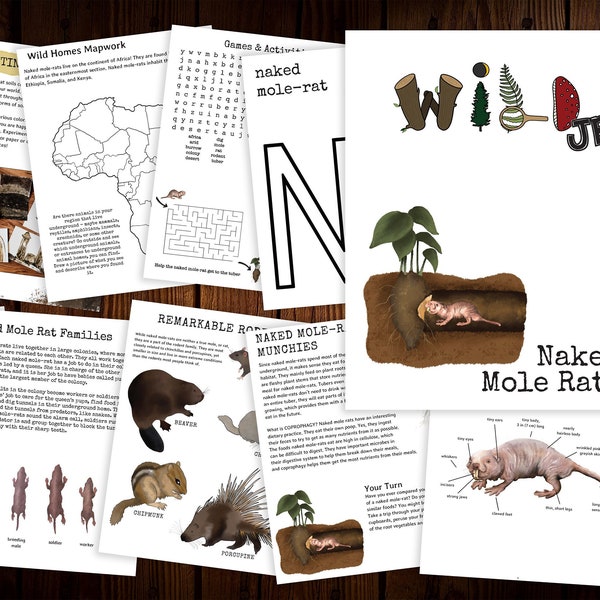 WILD Mag JR: Naked Mole Rats