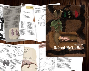 WILD Mag Issue 28: Naked Mole Rats