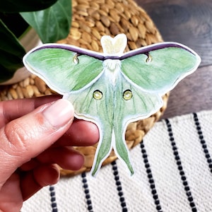 Luna Motte Sticker