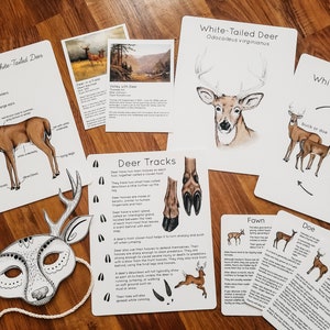 White-Tailed Deer Unit Study Bundle