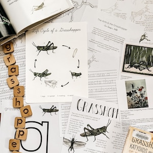 Grasshopper Unit Study