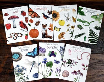 Backyard Nature Art Prints, Colors in Nature- Set of (12) 5x7&quot; Prints