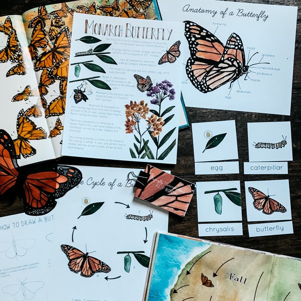 Monarch Butterfly Mini Nature Study