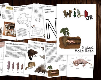 WILD Mag JR: Naked Mole Rats