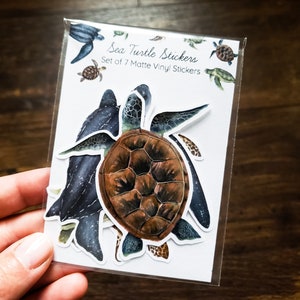 Sea Turtle Sticker Pack of 7