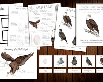 Eagle Unit Study