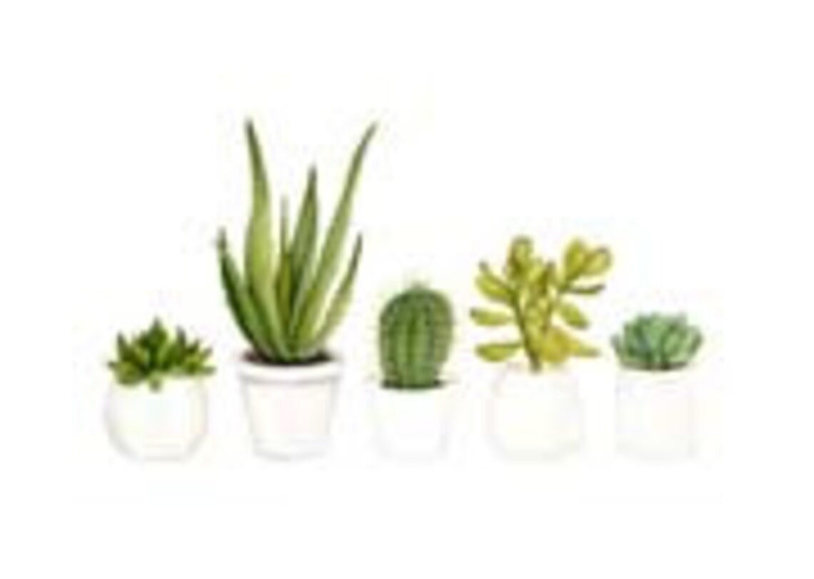 Succulant &amp; Cacti Print Digital Download Printable - Etsy