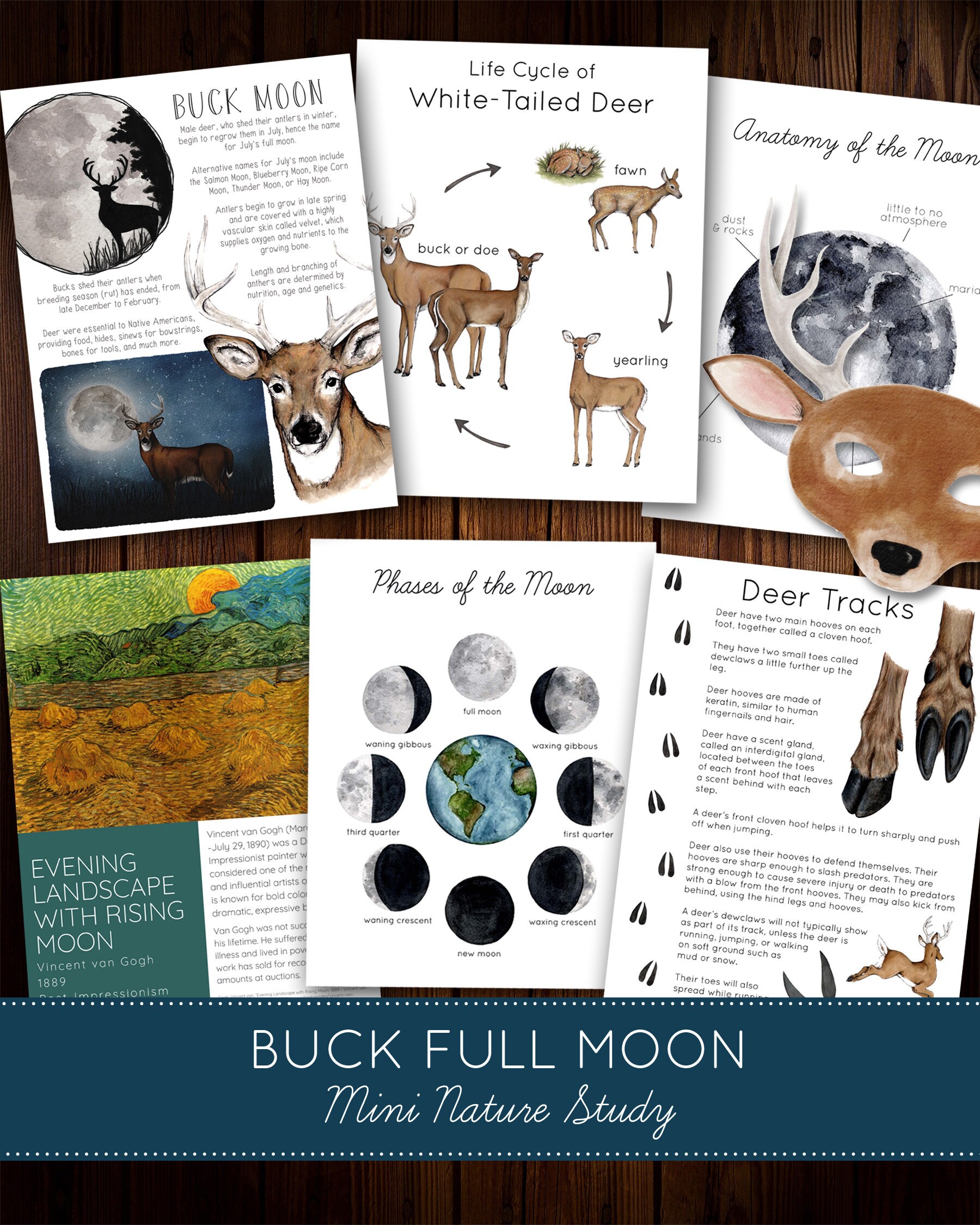 Deer Moon Mini Nature Study - Etsy