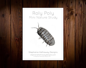 Roly Poly Mini Nature Study