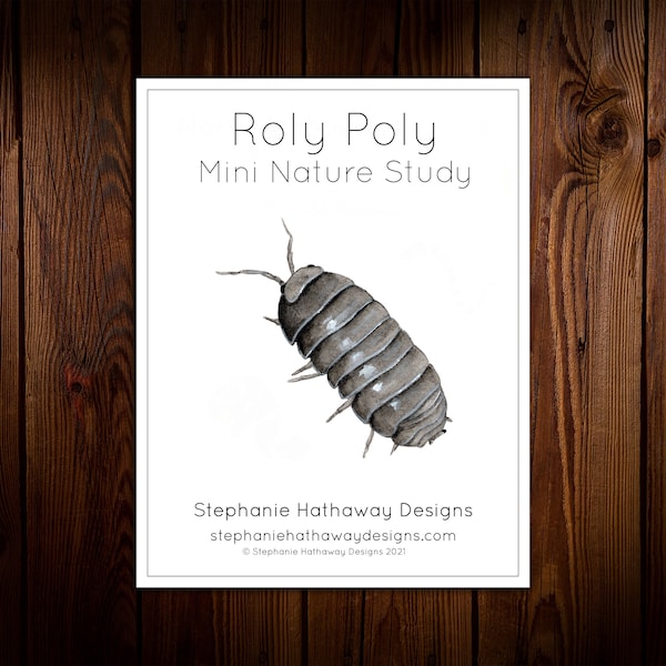 Roly Poly Mini Nature Study