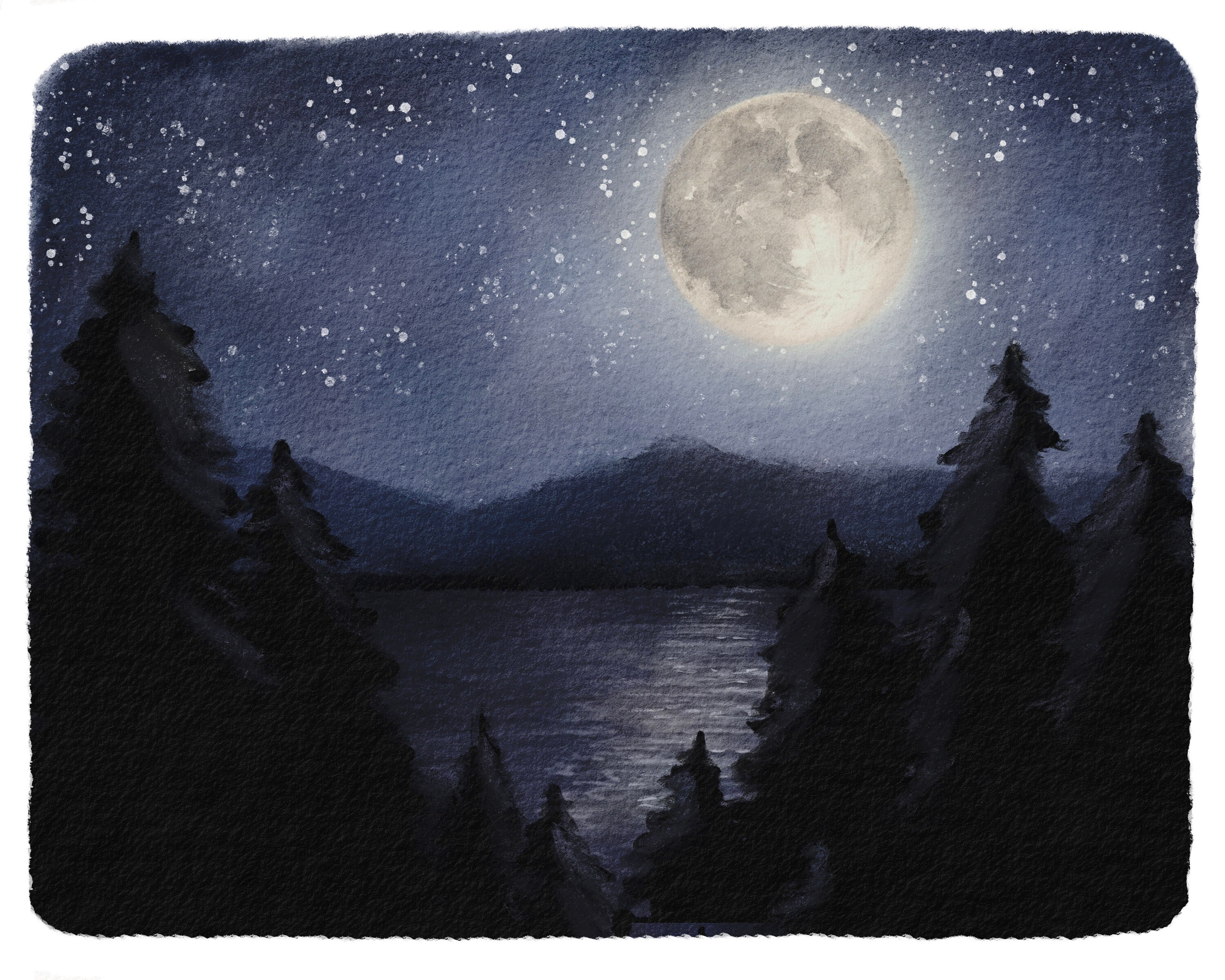 Beaver Full Moon Mini Nature Study - Etsy